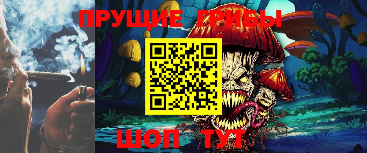 Псилоцибиновые грибы MAGIC MUSHROOMS  Вход с VPN  Южноуральск 